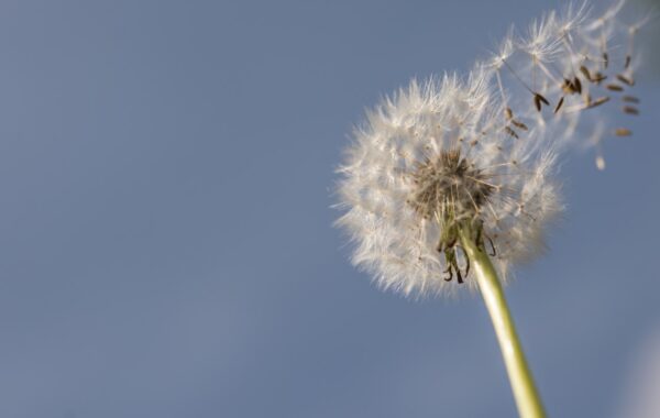 Elisabet Solsona Cambios vitales